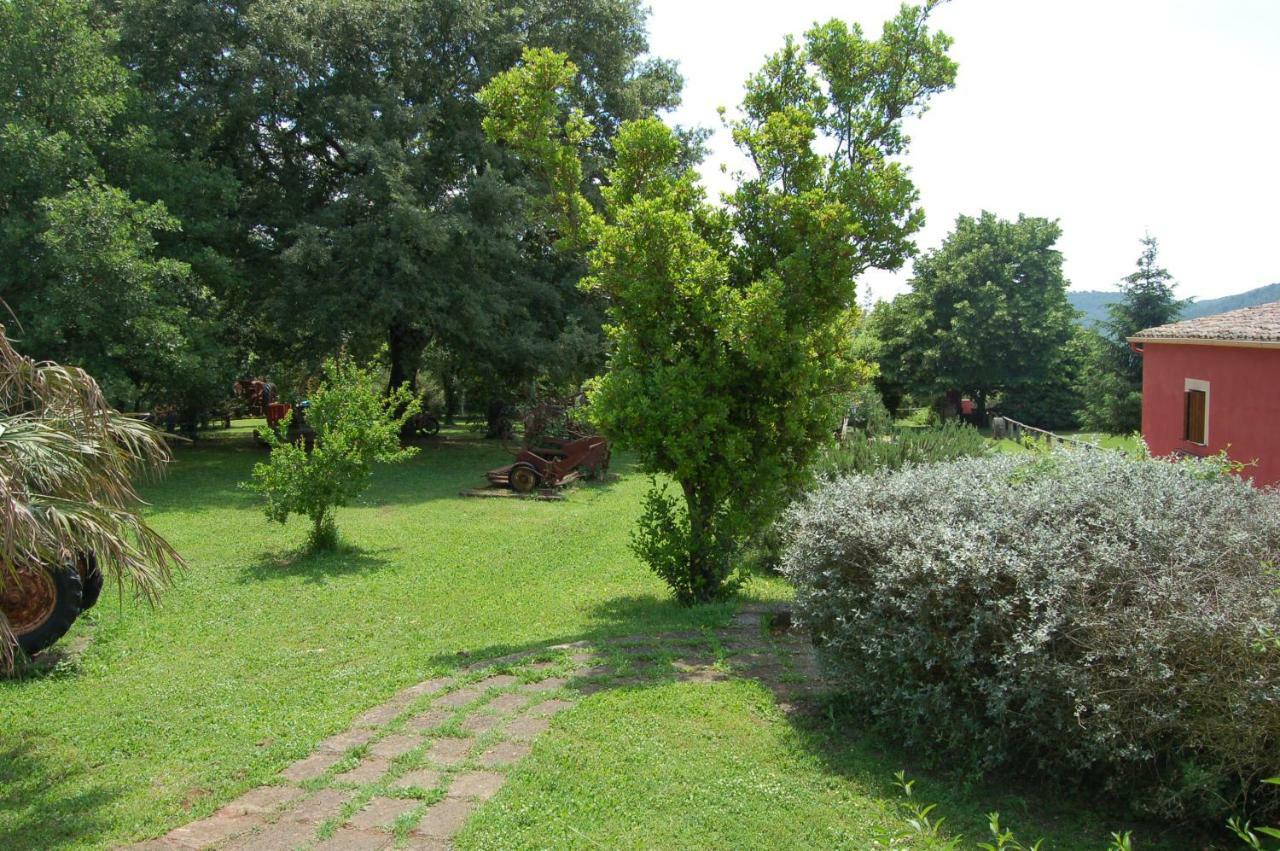 Agriturismo Castro Villa Ischia di Castro Exterior photo